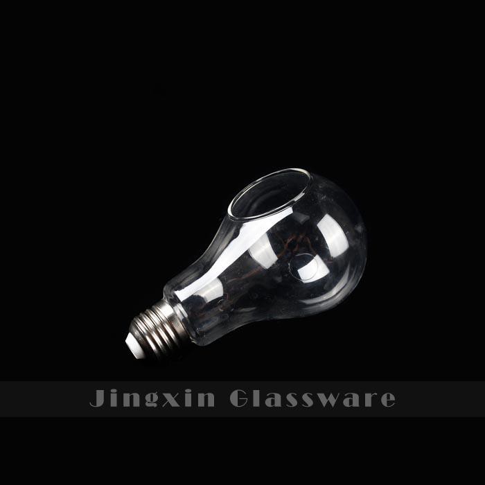 Bulb Light Terrarium Air Plant